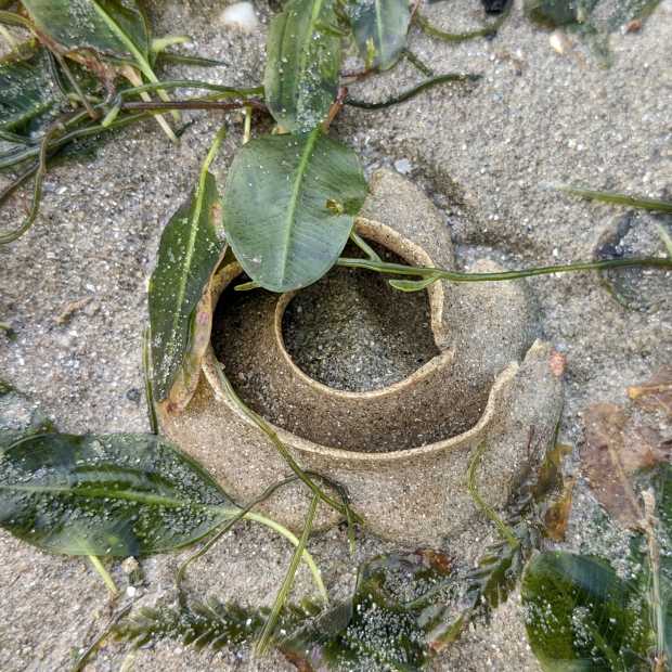 sand_collar